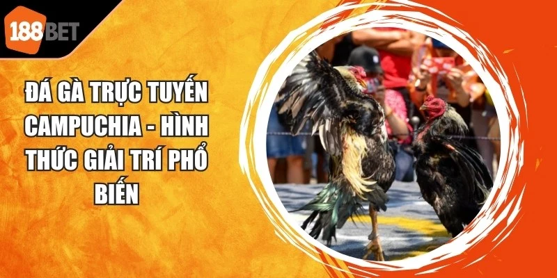 Đá Gà Trực Tuyến Campuchia
